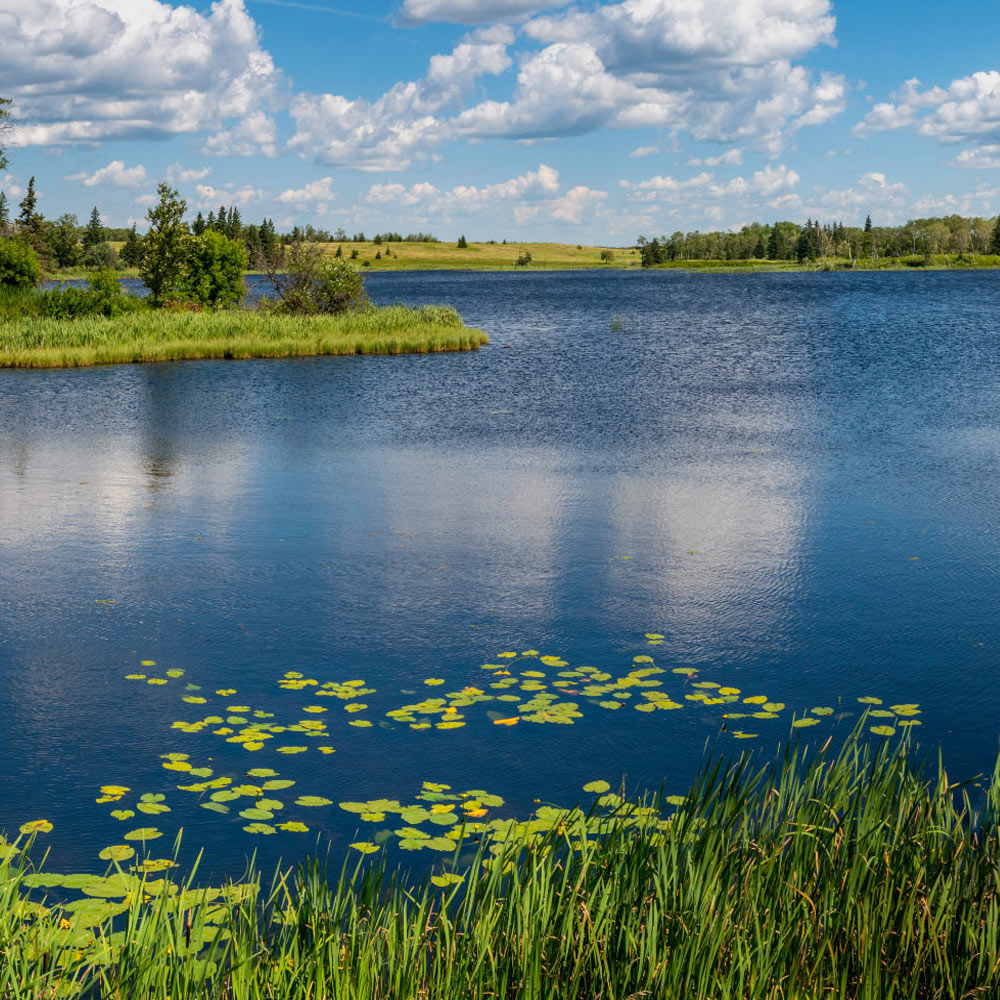 Spring landscape calm flowing river, young forest, blue sky with white clouds and the reflection in the water on a clear day